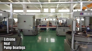 Extreme Temp-Pumpenlager aus Siliziumkarbid